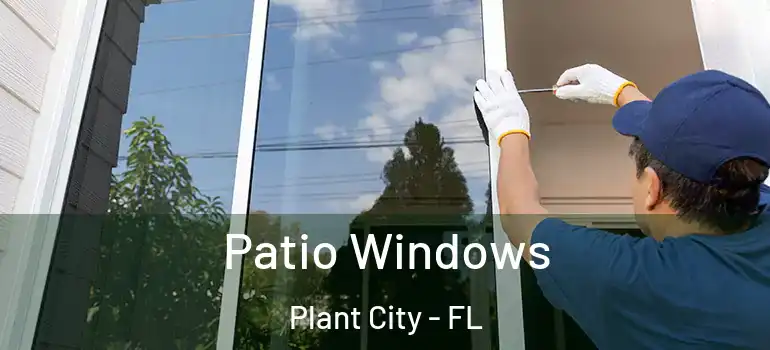 Patio Windows Plant City - FL
