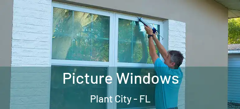 Picture Windows Plant City - FL