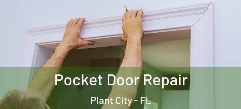 Pocket Door Repair Plant City - FL