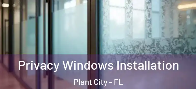 Privacy Windows Installation Plant City - FL