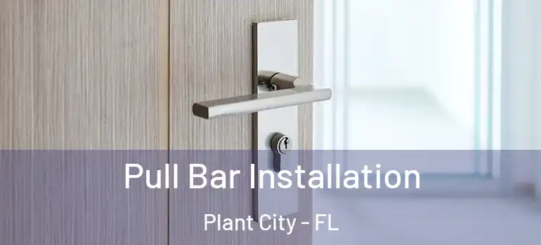 Pull Bar Installation Plant City - FL
