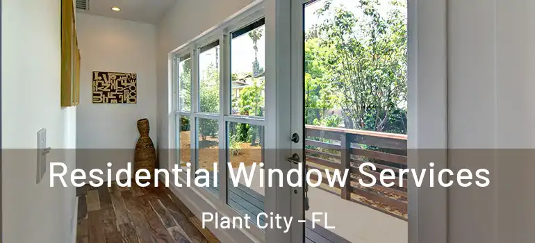 Residential Window Services Plant City - FL
