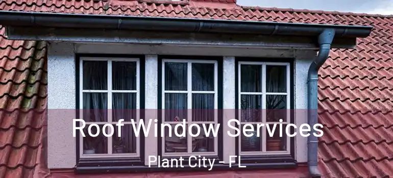Roof Window Services Plant City - FL