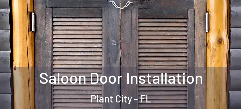 Saloon Door Installation Plant City - FL