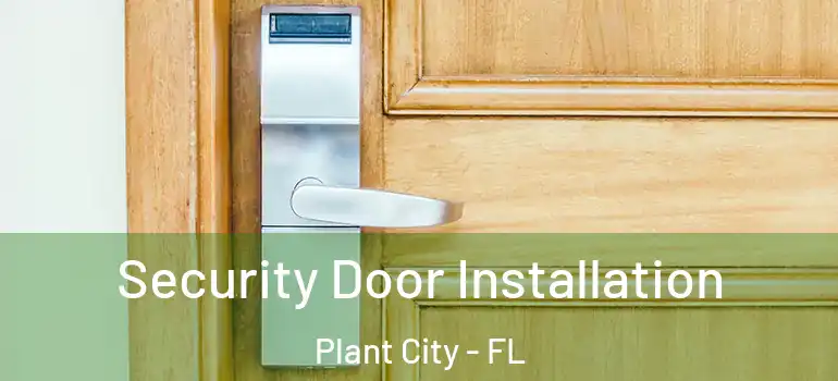 Security Door Installation Plant City - FL