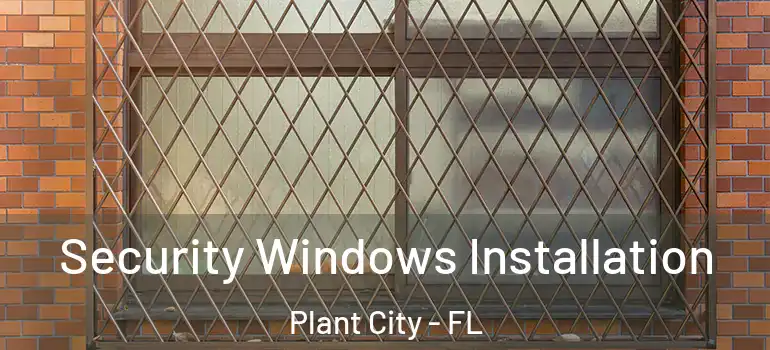Security Windows Installation Plant City - FL