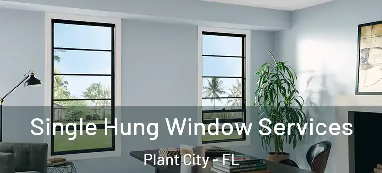 Single Hung Window Services Plant City - FL