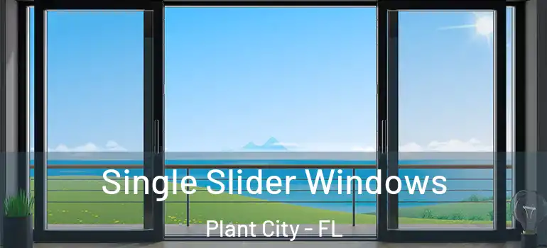 Single Slider Windows Plant City - FL