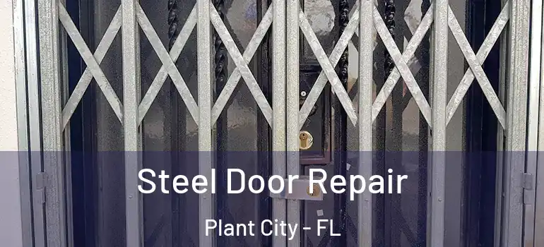 Steel Door Repair Plant City - FL
