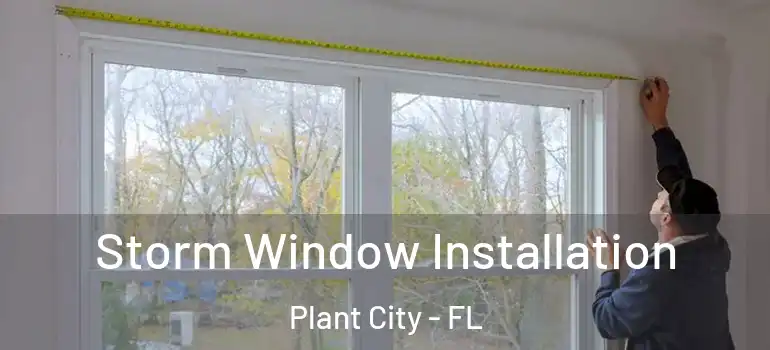 Storm Window Installation Plant City - FL