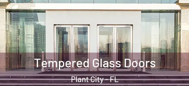 Tempered Glass Doors Plant City - FL