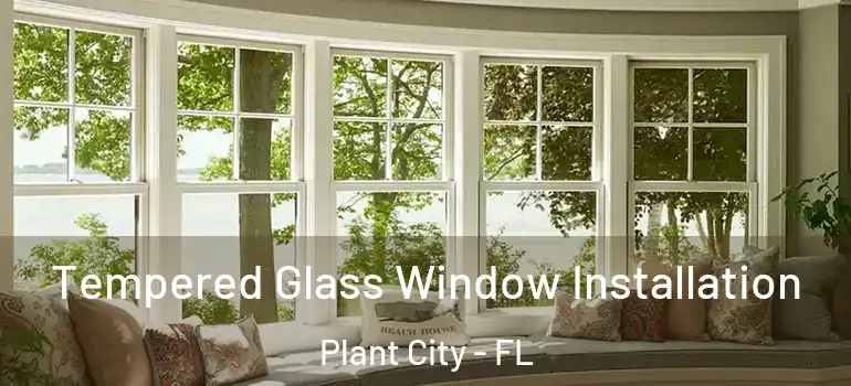 Tempered Glass Window Installation Plant City - FL