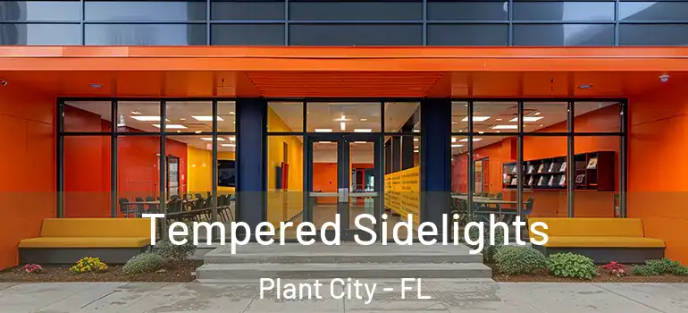 Tempered Sidelights Plant City - FL