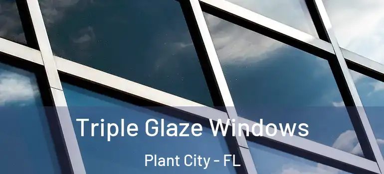 Triple Glaze Windows Plant City - FL