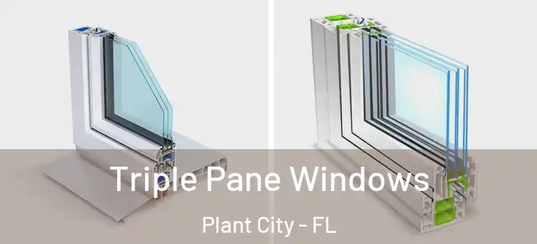 Triple Pane Windows Plant City - FL