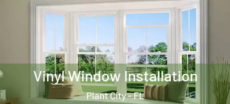 Vinyl Window Installation Plant City - FL