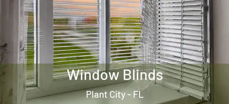 Window Blinds Plant City - FL