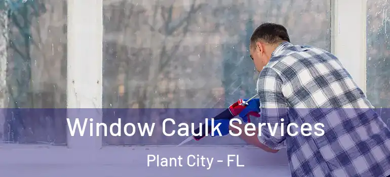 Window Caulk Services Plant City - FL