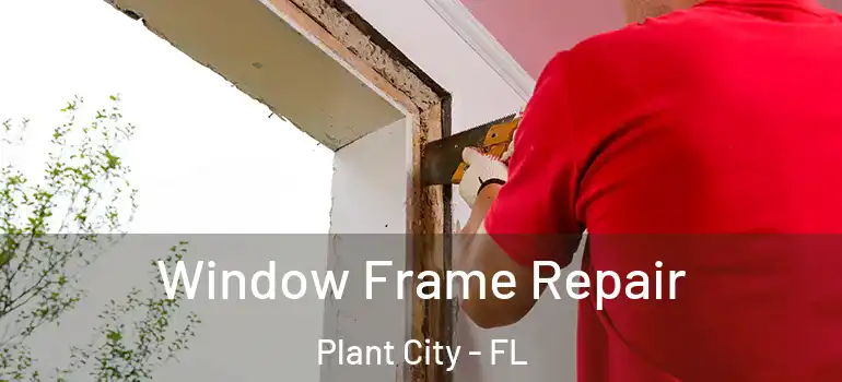 Window Frame Repair Plant City - FL
