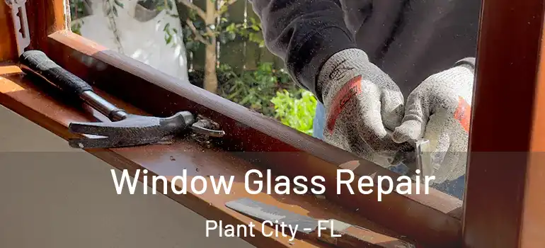 Window Glass Repair Plant City - FL