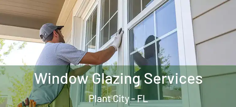 Window Glazing Services Plant City - FL