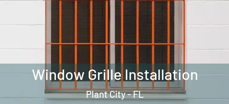 Window Grille Installation Plant City - FL