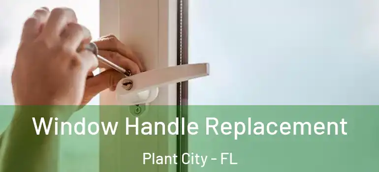Window Handle Replacement Plant City - FL