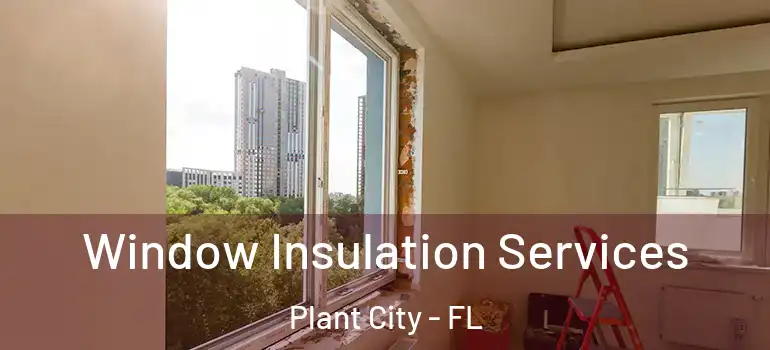 Window Insulation Services Plant City - FL