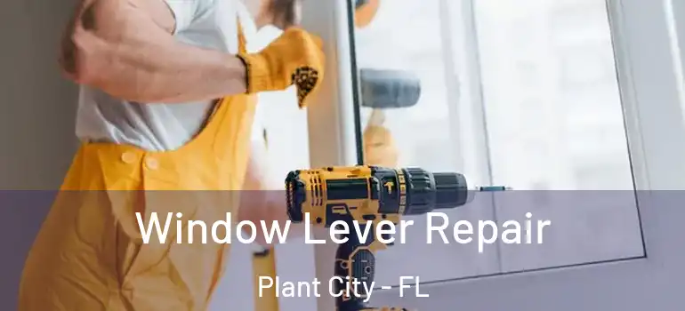Window Lever Repair Plant City - FL