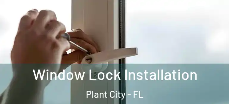 Window Lock Installation Plant City - FL
