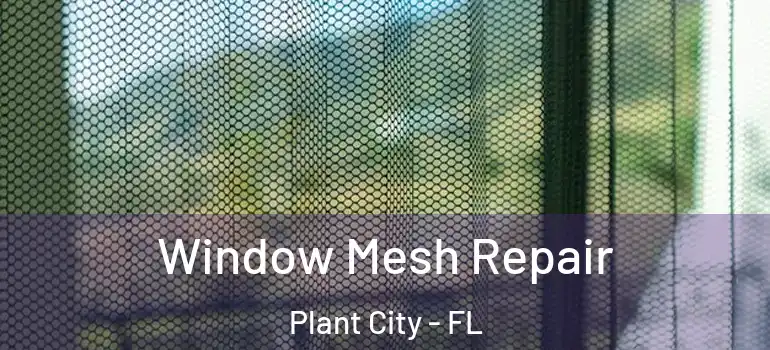 Window Mesh Repair Plant City - FL