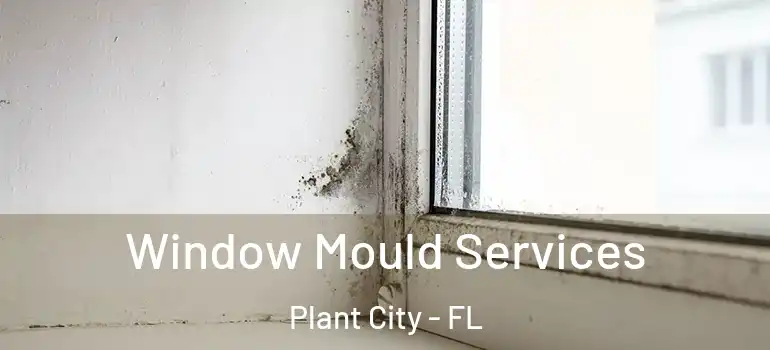 Window Mould Services Plant City - FL