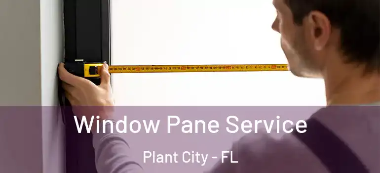 Window Pane Service Plant City - FL