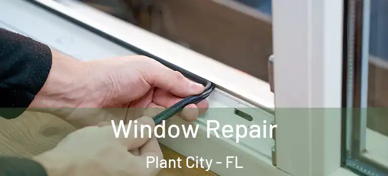 Window Repair Plant City - FL
