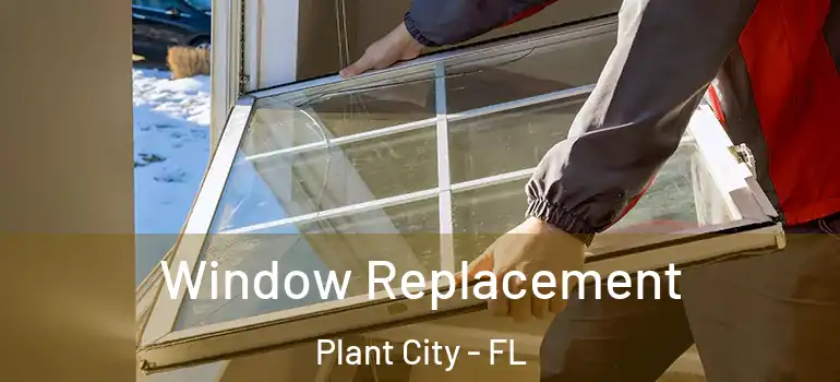 Window Replacement Plant City - FL