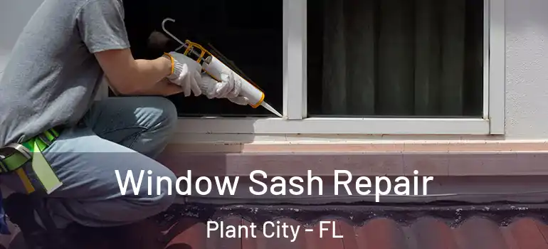 Window Sash Repair Plant City - FL