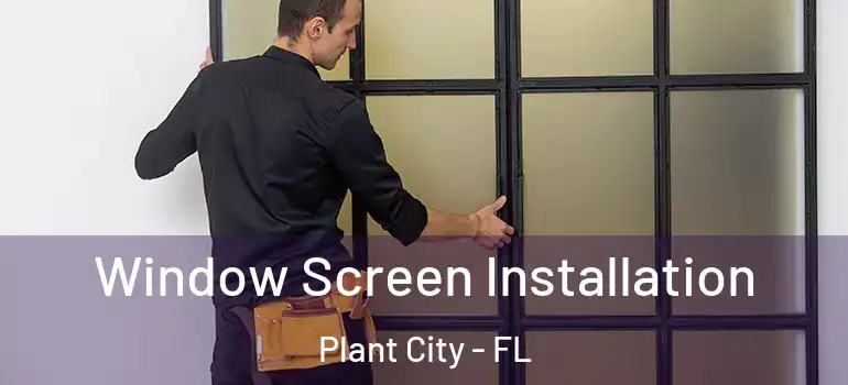 Window Screen Installation Plant City - FL
