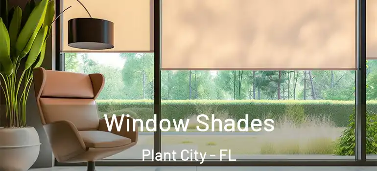 Window Shades Plant City - FL