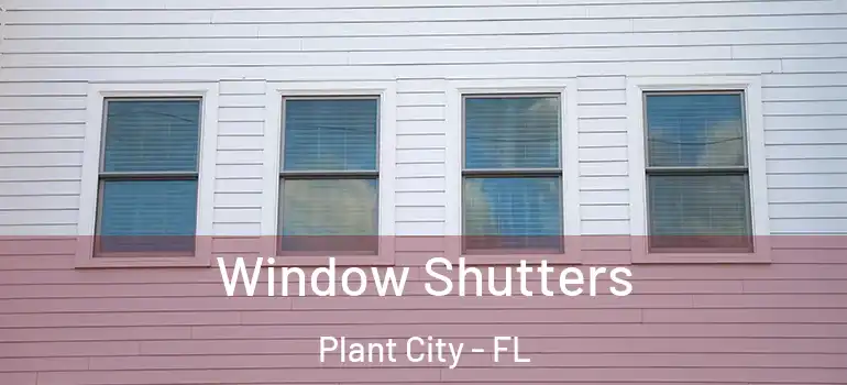 Window Shutters Plant City - FL
