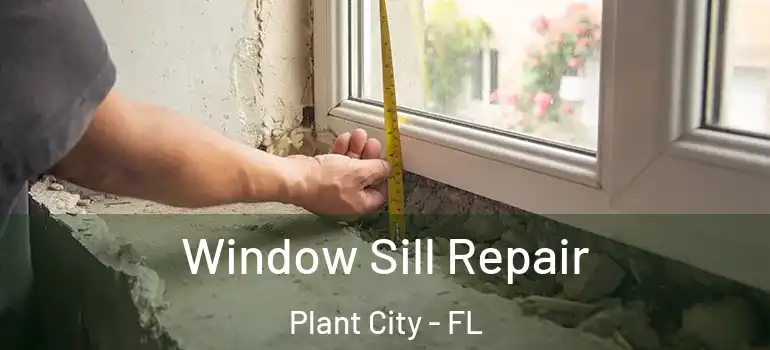 Window Sill Repair Plant City - FL