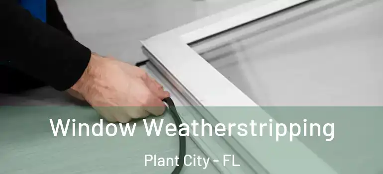Window Weatherstripping Plant City - FL