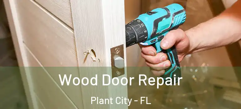 Wood Door Repair Plant City - FL
