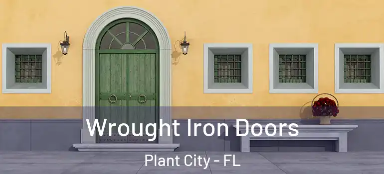 Wrought Iron Doors Plant City - FL